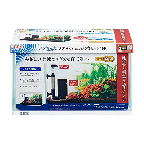 ジェックス GEX メダカ元気 メダカのための水槽セット300 メダカ専用設計 産卵・稚魚育成 | 