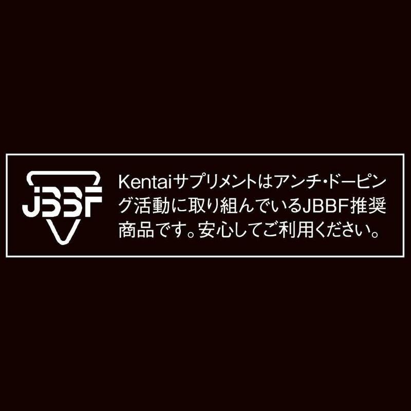 Kentai BIG 100%ホエイプロテイン プレーンタイプ 3kg プレーンタイプ 3kg BIG 100%ホエイプロテイン