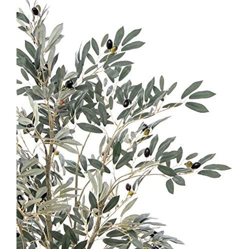 造花ドットコム プレミアム 光触媒 消臭 フェイクグリーン 「表裏で色が異なるシルバーグリーンの葉色が特徴 リアル オリーブ 高さ170cm 造花ドットコム プレミアム 光触媒 消臭 フェイクグリーン 表裏で色が異なるシルバーグリーンの葉色が特徴 リアル オリーブ 高さ170cm