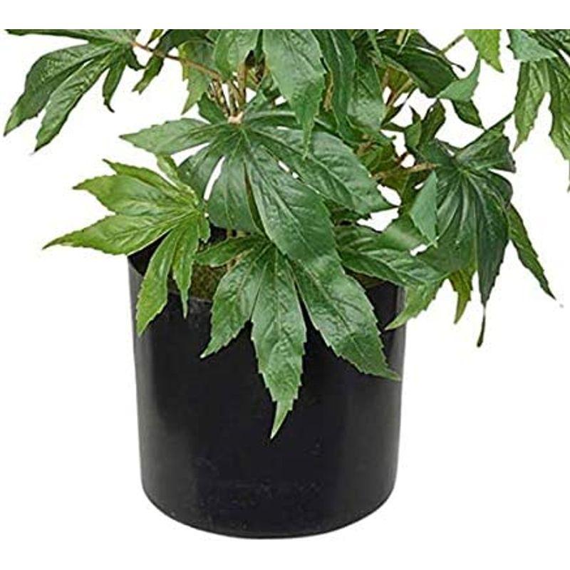 TenWaterloo 人工大麻植物 鉢植え植物 高さ36インチ 偽マリファナ 鉢植え装飾植物 高さ36インチ 人工大麻植物 鉢植え植物 偽マリファナ 鉢植え装飾植物