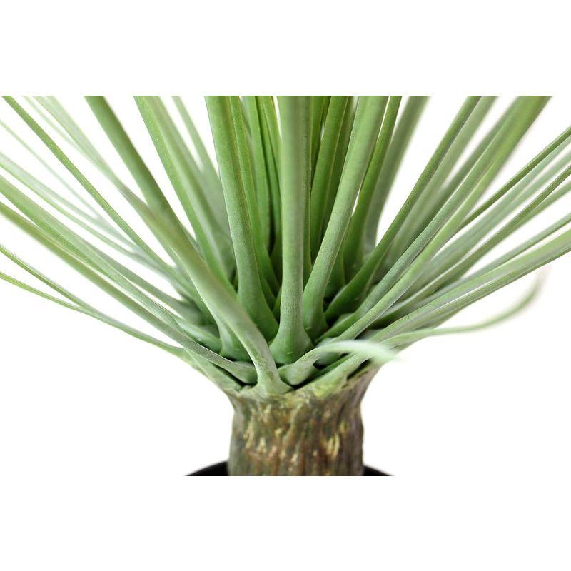 アートショップ フォームス フェイクグリーン「ユッカ ロストラータ・ポット 47」観葉植物 インテリア グリーン フォームス フェイクグリーン ユッカ ロストラータ ポット 観葉植物 インテリア グリーン 　 サイズ