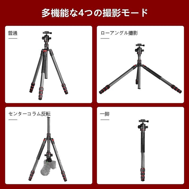 Manbily 173cm カーボン三脚 トラベル三脚 中軸反転 マクロ撮影 一脚可変式 カメラ三脚 耐荷重8kg 自由雲台 脚径28mm 173cm カーボン三脚 トラベル三脚 中軸反転 マクロ撮影 一脚可変式 カメラ三脚 耐荷重8kg 自由雲台 脚径28mm