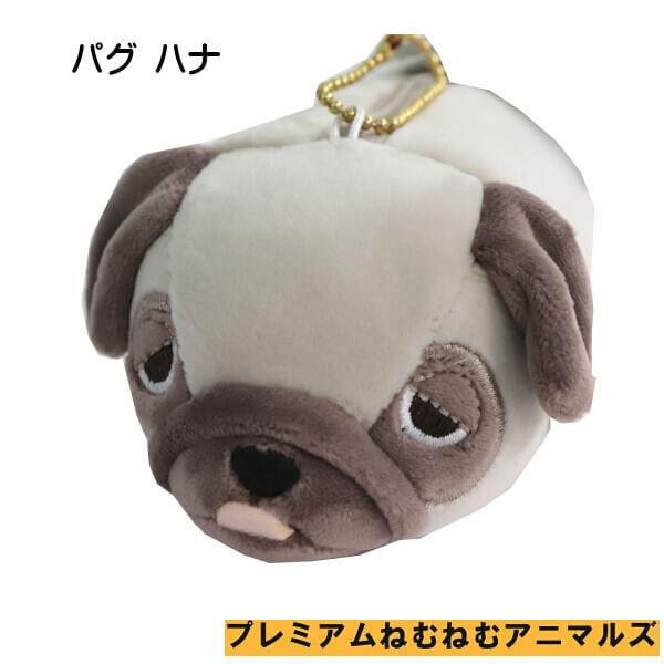 3年保証 柴犬 コタロウ パグ ハナ 小物入れ ミニポーチ 手の平サイズ プレミアムねむねむアニマルズ コロプチ マスコット 記念日 ギフトに メール便 ハナのみ販売中 Materialworldblog Com