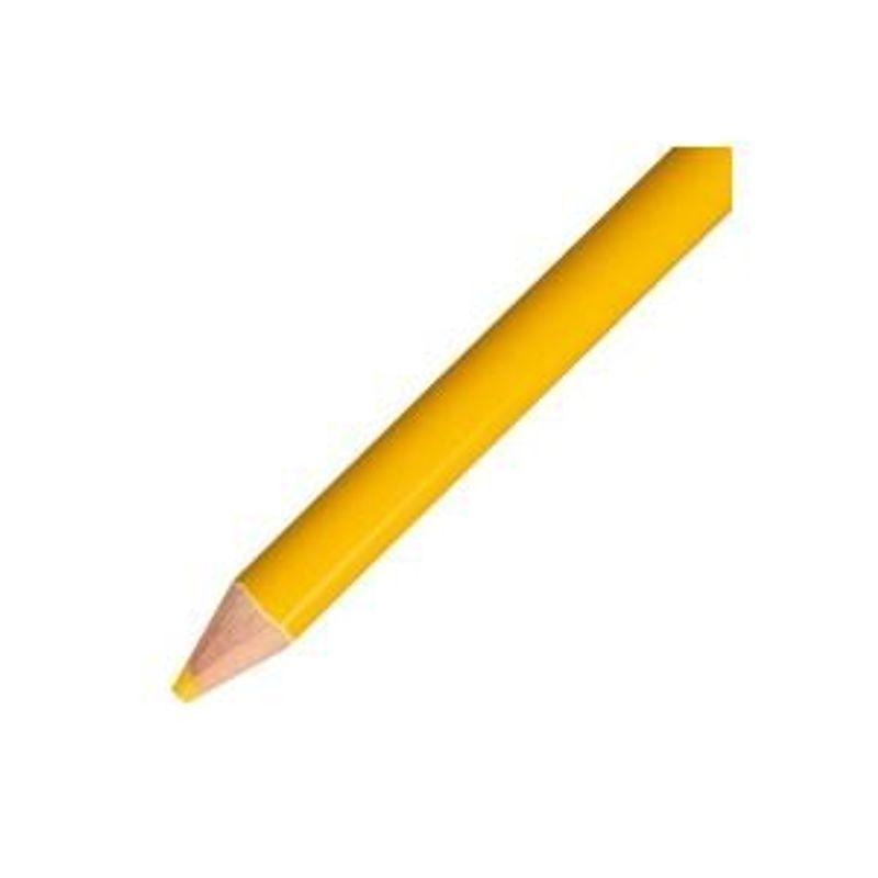 (業務用50セット) 筆記用具 1500 04 トンボ鉛筆 色鉛筆 単色 単色 12本入 1500 04 山吹 ds 1742089