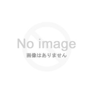 KYO-EI(協永産業) LEGGDURA RACING Shell Type Lock & Nut Set(CL35