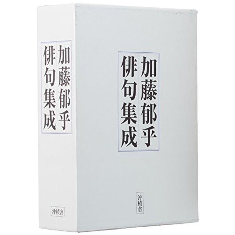 注文 シュガリィガールズ シークレット ラグーン 新品】sugary girls