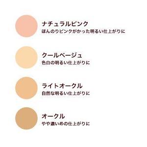 Rezept II（レセプトツー） エムディ化粧品 レセプトII モアナチュラル