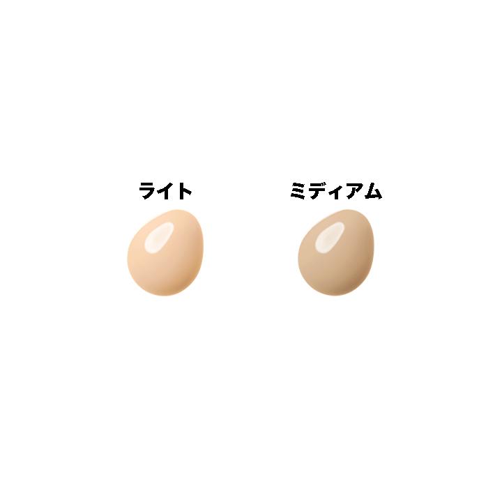 LISSAGE（リサージ） カラーメインテナイザー EX N2 全2色 30g