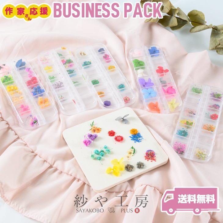 世界有名な ドライフラワー 封入パーツ 押し花5ケースセット ジェルネイル まとめ買い 花 レジンパーツ レジン材料 Cisama Sc Gov Br