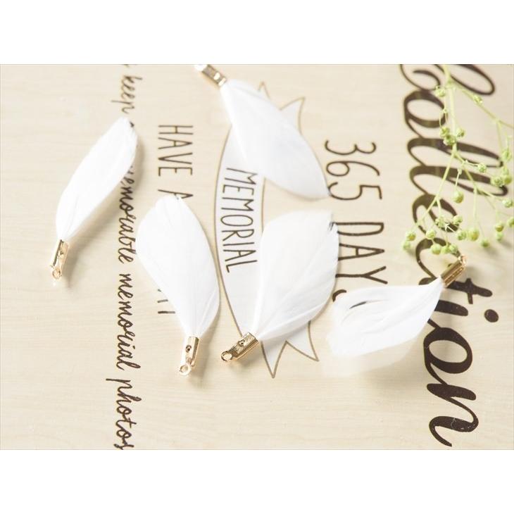 フェザーデザインチャーム໒꒱✨L.