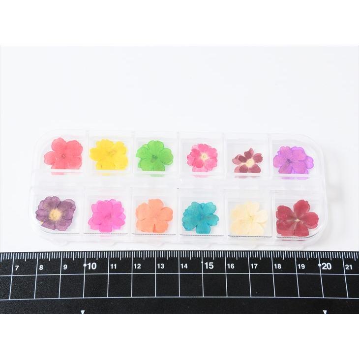 送料無料 ドライフラワー 自然素材 花弁 封入パーツ 押し花 封入 5枚花 レジン材料 Mixカラー アクセサリー ジェルネイル パーツ 12色セット