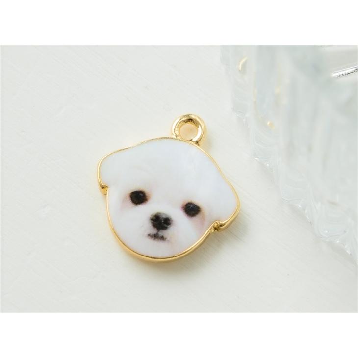 チャーム 犬 マルチーズ 動物 アクセサリー パーツ ホワイト 16.5mm 1