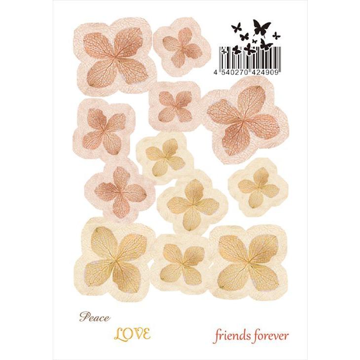 清原 3d フラワーデザインフィルム フィルム キヨハラ レジン Uv Led レジン封入 フィルム 押し花 あじさい 四つ葉 ドライフラワー パンジー Kh 紗や工房 Yahoo 店 通販 Yahoo ショッピング