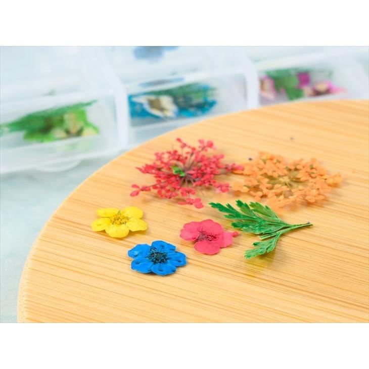 ドライフラワー 封入パーツ レースフラワーと小花 ジェルネイル 花  