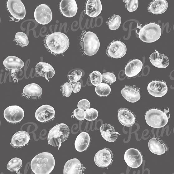 Resin club(レジンクラブ) レジン 封入 シール 埋め込みレジンシール