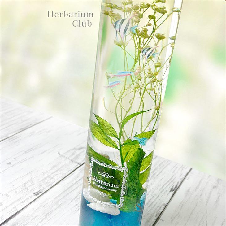 Harbarium club(ハーバリウムクラブ) ハーバリウムシール ボトルラベル