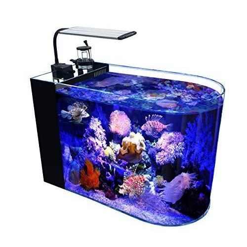 Gankpike アクアリウムセット 超クリアガラス水槽 海水魚水槽 容量 約46l S 2401 Ys Choice 通販 Yahoo ショッピング