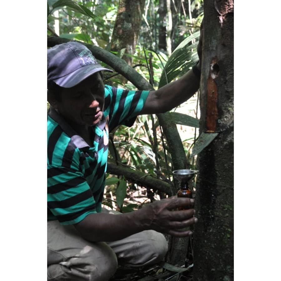 プレミアム コパイバ マリマリ 20ml (アマゾンの聖木樹液 黄金樹液オイル オーガニック)