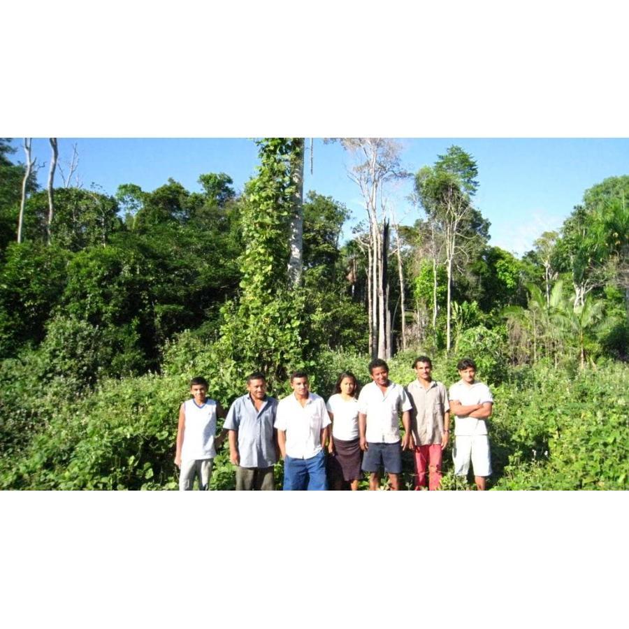 プレミアム コパイバ マリマリ 20ml (アマゾンの聖木樹液 黄金樹液オイル オーガニック)