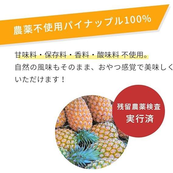酵素パワープラス パイナップル酵素 送料別 酵素ドリンク 粉末 サプリ