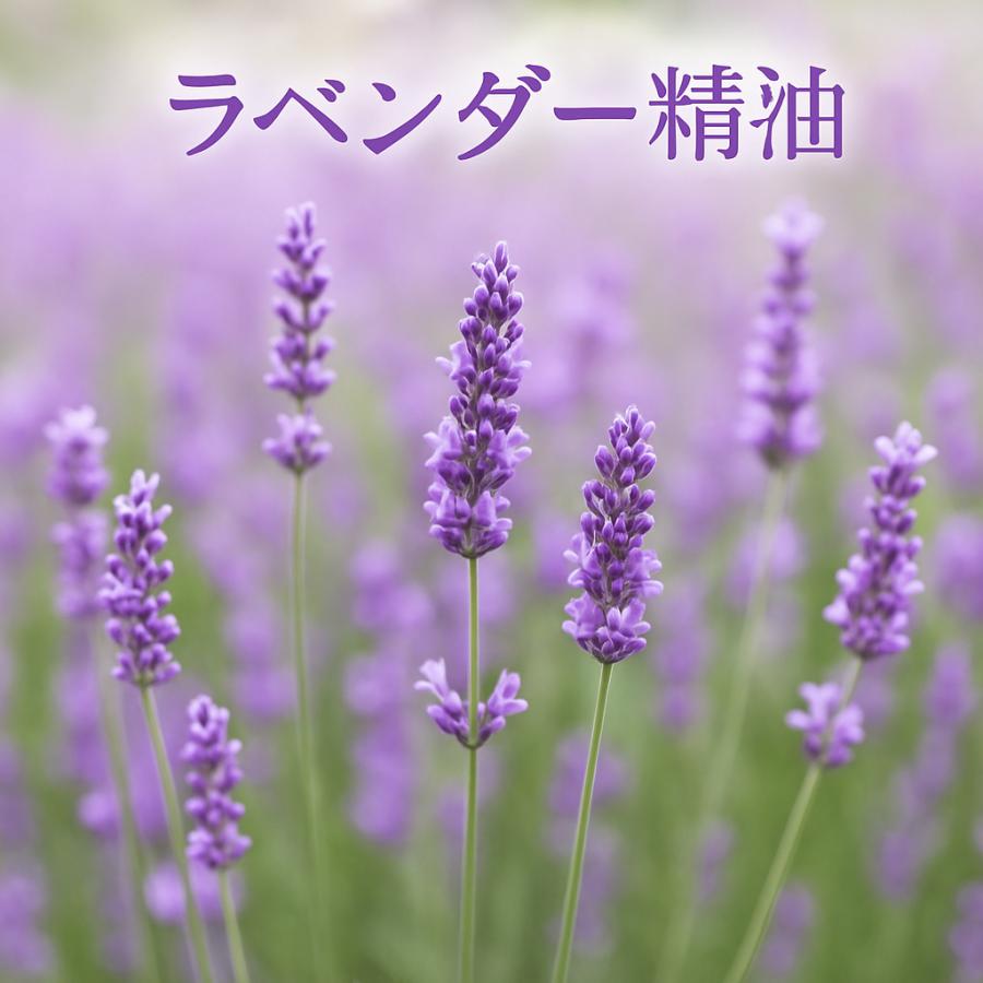 高陽社 プレミアムハイセンス 2.0kg 3個セット ラベンダーの香り 潤い