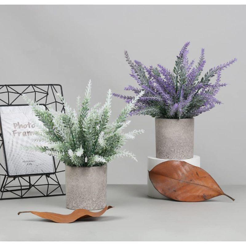 Qorfranラベンダー 光触媒観葉植物 3個セットラベンダー観葉植物 室内用 本物 おしゃれ フェイクグリーン 観葉植物 光触媒 光触 その他カーテン ブラインド レール Robertoortiz Com Co
