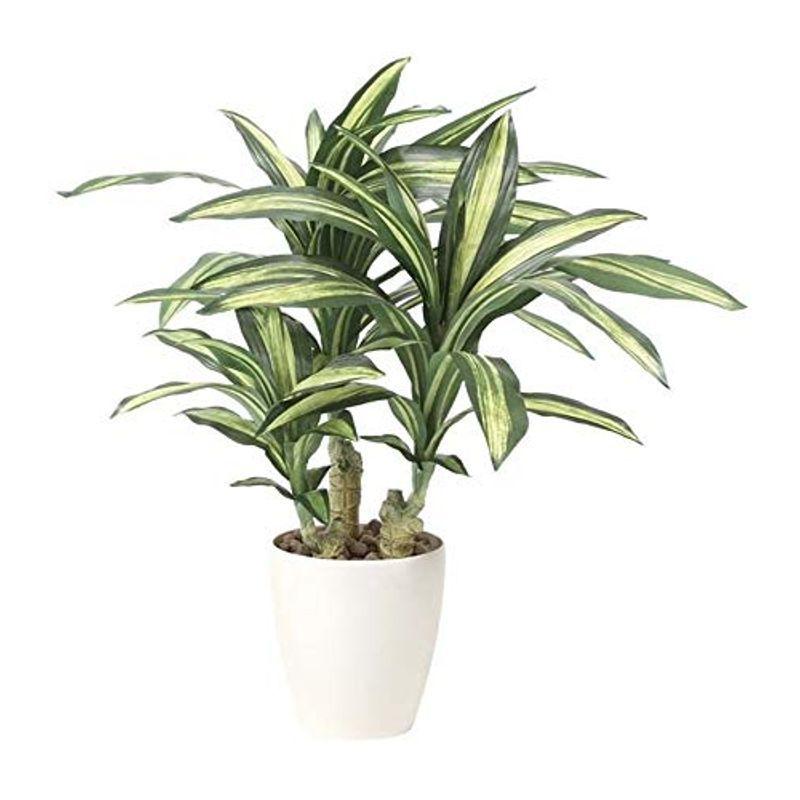 安心 光触媒 人工観葉植物 光の楽園 幸福の木s 9g1 新品未使用 Clinicaaldente Es