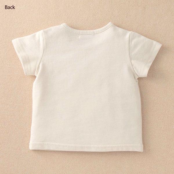 オーガニックコットン ベビー【みつばち】半袖Tシャツ 80 Amorosa mamma｜yshopharmo｜09