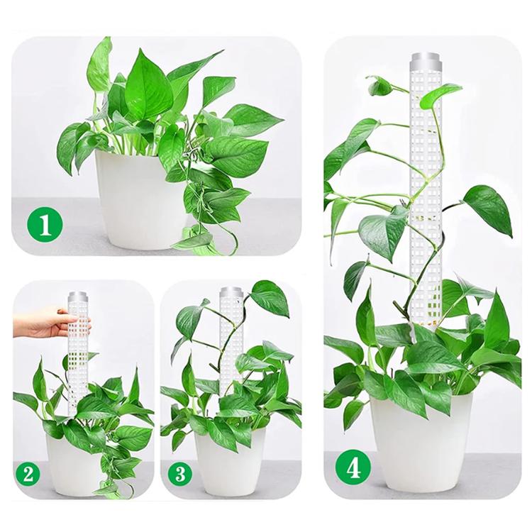 モスポール 支柱 2本セット 連結可能 観葉植物 モンステラ つる植物 着生植物 園芸支柱 植物支柱 水苔棒 耐腐食性 プラスチック グリーン ホワイト HR-Z25C02S｜yshotlounge｜05