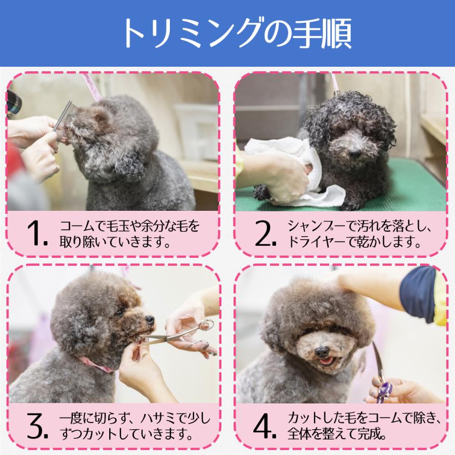トリミング ハサミ ペット シザー 初心者 丸い先端 安全 入門 6点セット お手入 プロ仕様 くし コーム スキバサミ 犬 猫 トリマー セルフカット ケース付 Pet Cut Ysk商店 通販 Yahoo ショッピング