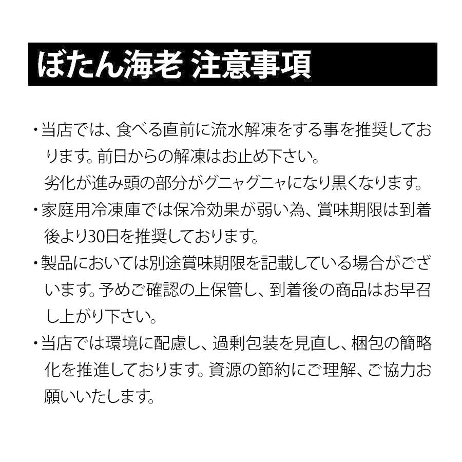 エビ ぼたんえび ボタンエビ 500g 250 G ２ 10 12尾 特大 子持ち 刺身 えび 海鮮 海老 母の日 父の日 Eb002 ワイエス海商 北海道からの贈り物 通販 Yahoo ショッピング