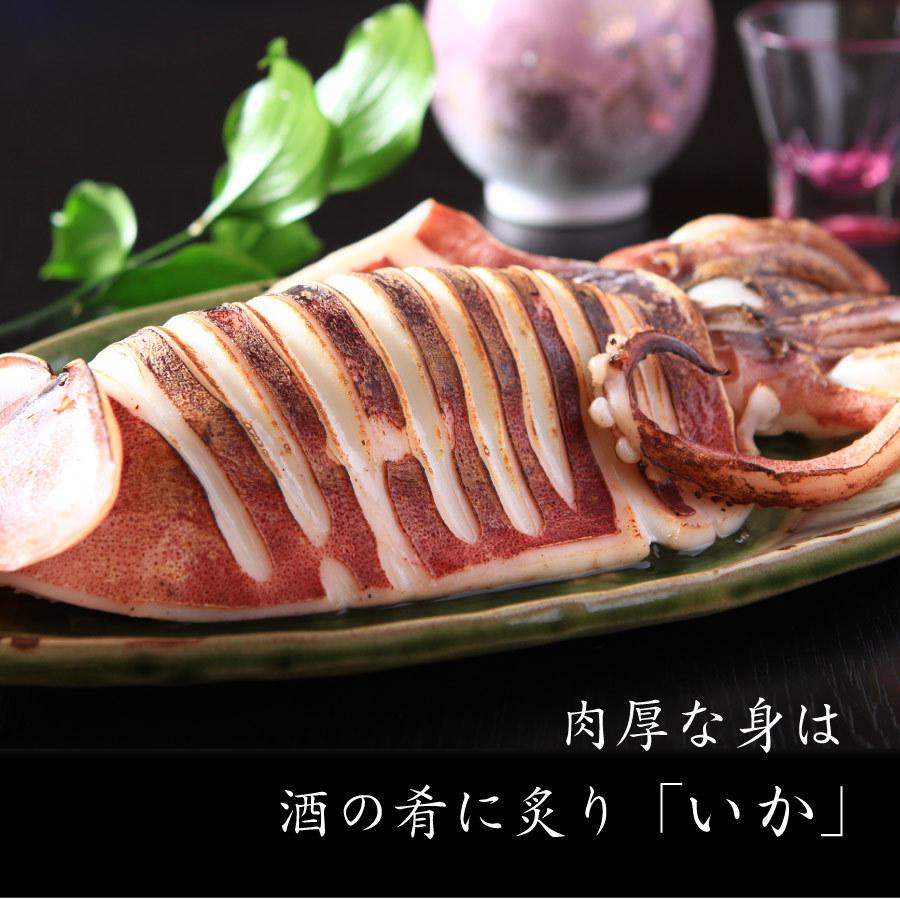 開きいか一夜干し 1袋 2枚入 真空パック 手軽 簡単 するめいか Ka018 ワイエス海商 北海道からの贈り物 通販 Yahoo ショッピング