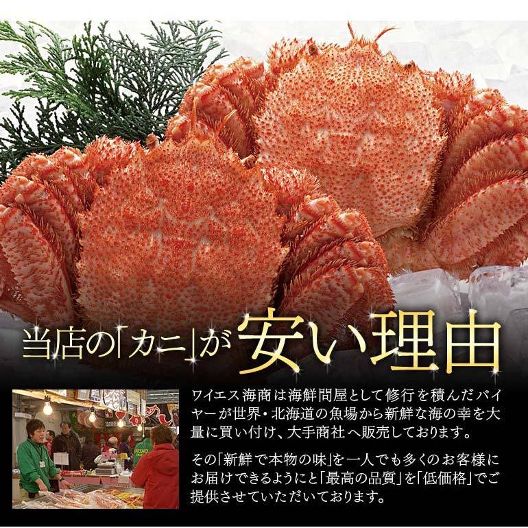2022 ギフト 北海道産 毛ガニ 毛蟹(550g前後×3尾) 浜ゆで 毛蟹 :KG0016:ワイエス海商 北海道からの贈り物 - 通販 - Yahoo!ショッピング 2022 ギフト 北海道産 毛ガニ 毛蟹(550g前後×3尾) 浜ゆで 毛蟹 :KG0016:ワイエス海商 北海道からの贈り物 - 通販 - Yahoo!ショッピング
