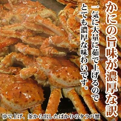 父の日21 ギフト プレミアム会員限定価格 かに カニ 蟹 たらば蟹姿 1 5kg前後 1 送料無料 北海道 ギフト 贈答 かに カニ Tg001 ワイエス海商 北海道からの贈り物 通販 Yahoo ショッピング