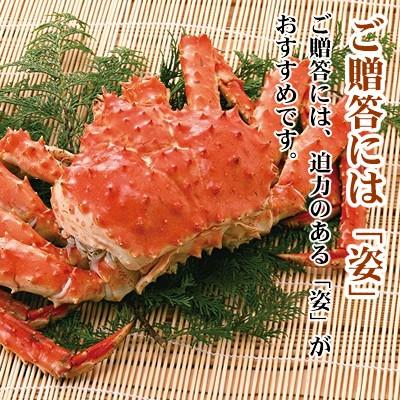 父の日21 ギフト プレミアム会員限定価格 かに カニ 蟹 たらば蟹姿 1 5kg前後 1 送料無料 北海道 ギフト 贈答 かに カニ Tg001 ワイエス海商 北海道からの贈り物 通販 Yahoo ショッピング