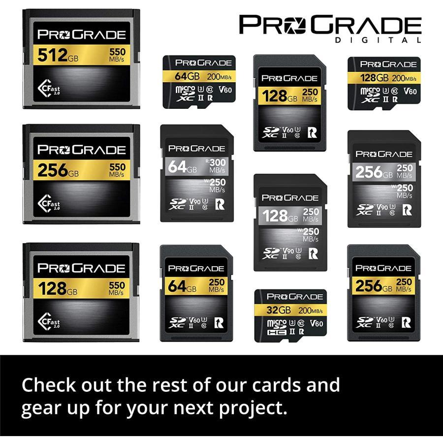 ProGrade Digital (プログレードデジタル) 【SDXC UHS-II V60】 GOLD 250R メモリーカード (256GB)の画像
