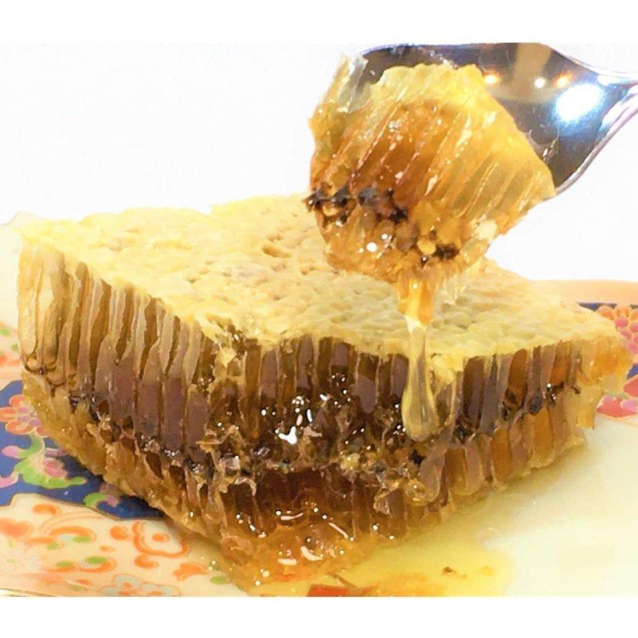 日本蜜蜂の貴重な巣蜜100g予約受付