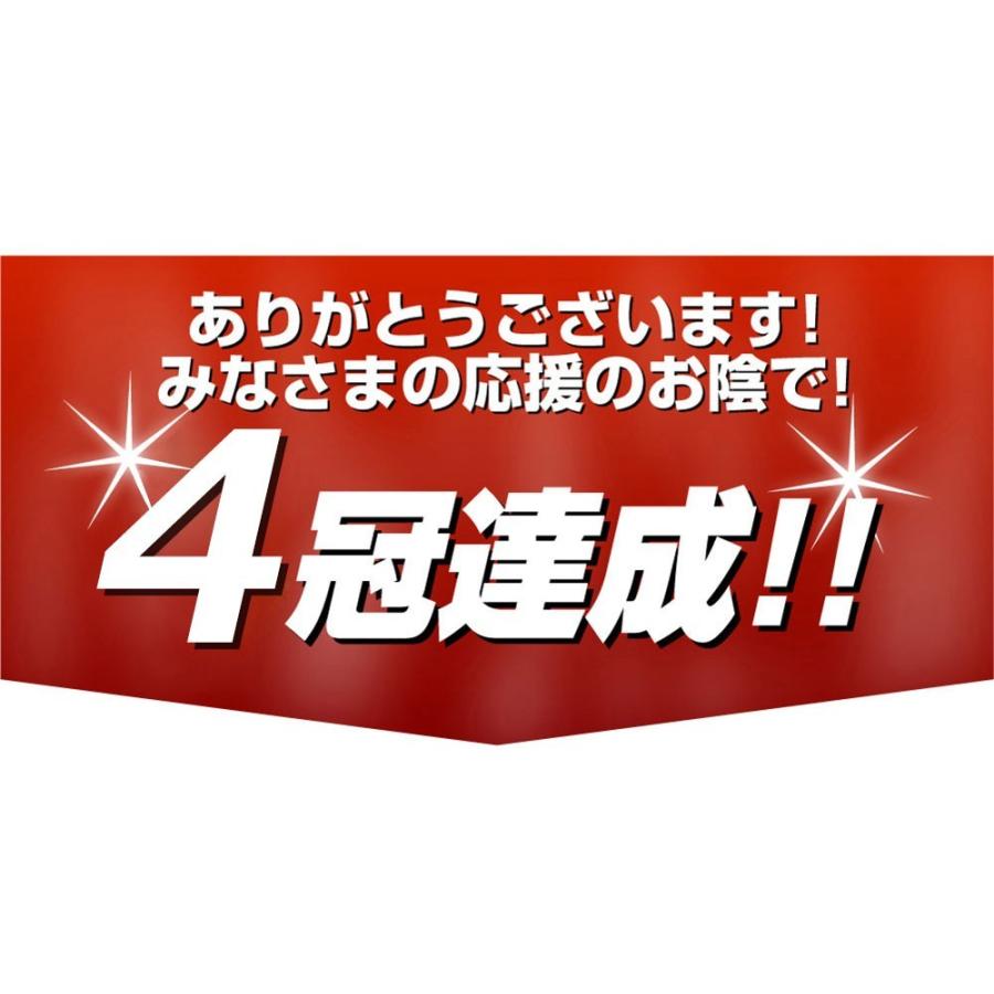 2個セット ランニングポーチ ボトルポーチ ウエストポーチ 揺れにくい 防水 メッシュ スポーツ ウォーキング ジョギング スマホ ツーリング バッグ 伸縮  iphone｜ysmya｜10