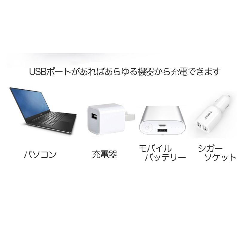 毛玉取り 毛玉取り器 毛玉取り機 電動 コンセント 充電 6枚刃 日本語説明書付き PSE認証 ポイント消化 | ブランド登録なし | 14