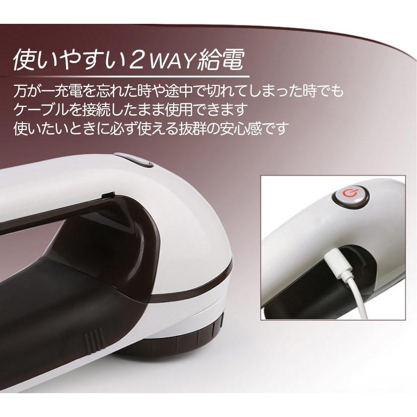 毛玉取り 毛玉取り器 毛玉取り機 電動 コンセント 充電 6枚刃 日本語説明書付き PSE認証 ポイント消化 | ブランド登録なし | 07