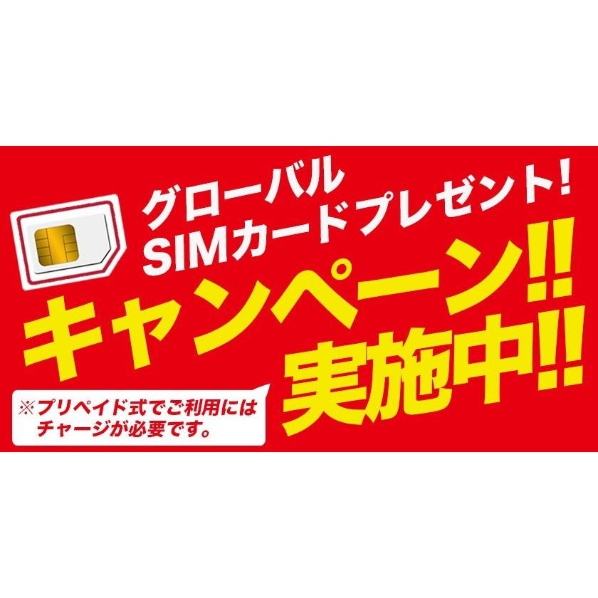 翻訳機 オフライン翻訳 カメラ翻訳 グローバルSIMカード付 音声