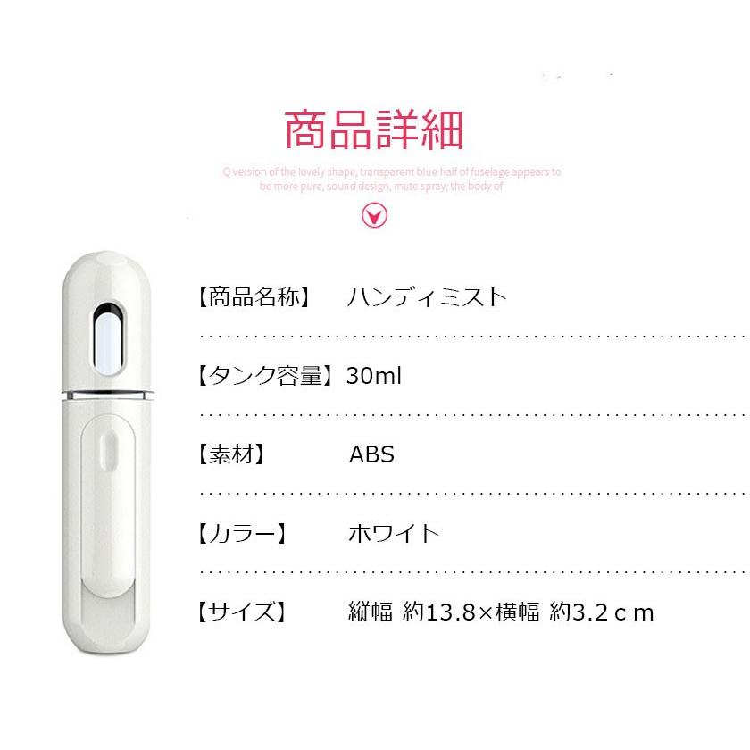 プレゼント ハンディミスト フェイススチーマー 携帯 加湿器 美顔器 スチーム 携帯用 保湿 化粧直し 美容器 スプレー スキンケア 毛穴ケア 乾燥肌 Usb充電式