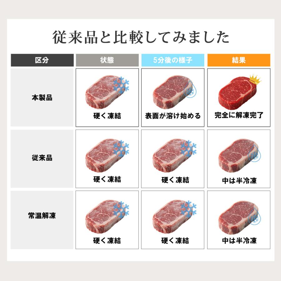 TOKAIZ（トカイズ） TOKAIZ公式! 国内食品安全検測済 解凍プレート