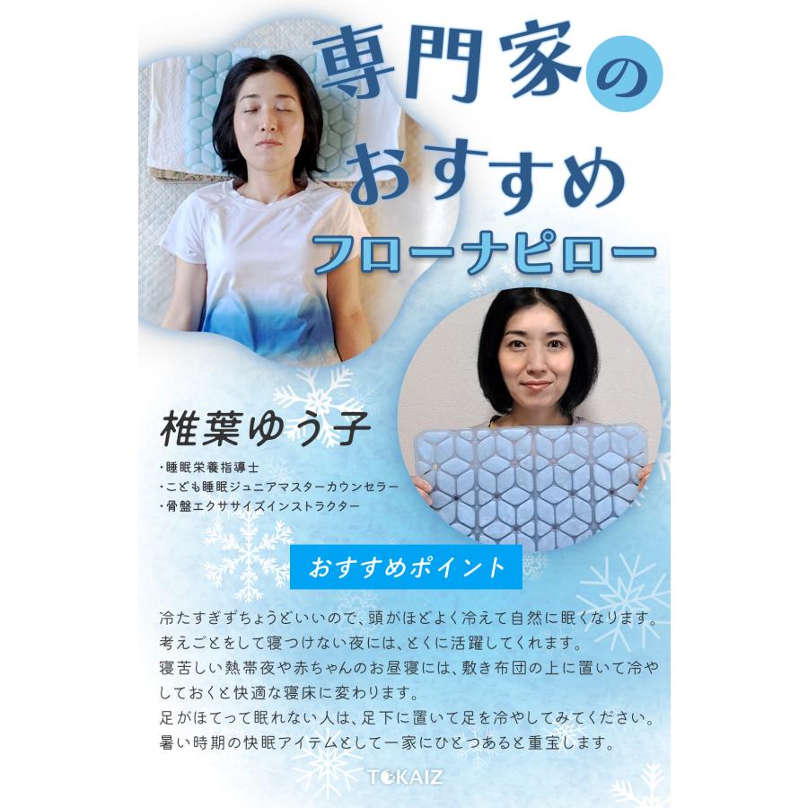 TOKAIZ（トカイズ） フローナピロー 氷枕 アイスピロー PCM 28度 自然
