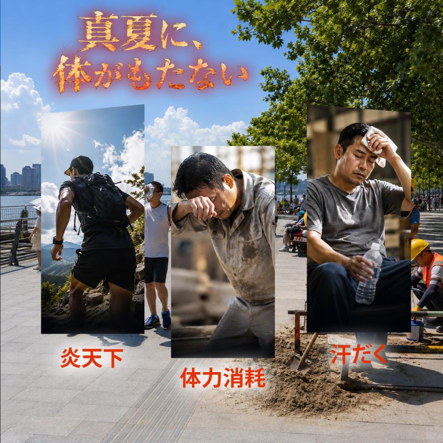 TOKAIZ（トカイズ） ファン付きベスト 空調ベスト 空調ウェア 3ファン