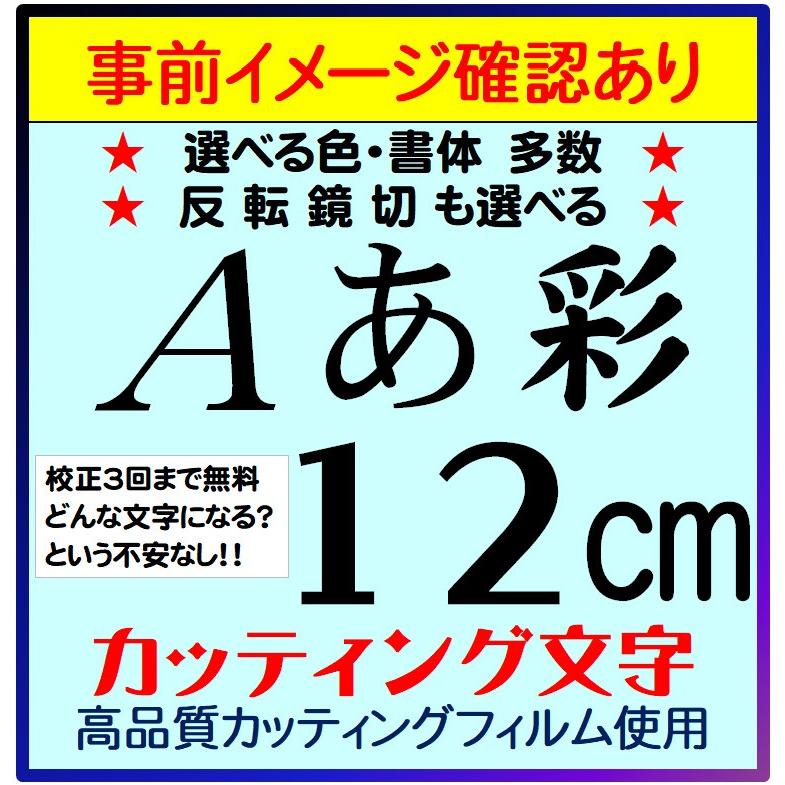 校正3回（メール3往復無料） カッティング文字 屋外耐候 12cm 切り文字 カッティングシール 文字 ステッカー シール 文字ステッカー 販促 表札 看板 広告｜ystreamshop