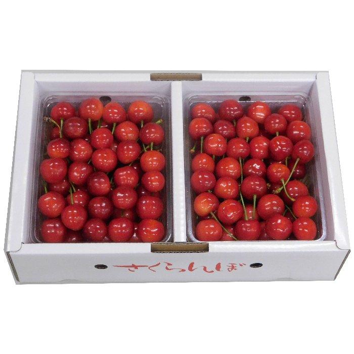 6月下旬出荷！】 さくらんぼ 紅秀峰 山形県産 L-2L 700g 秀-特秀 化粧