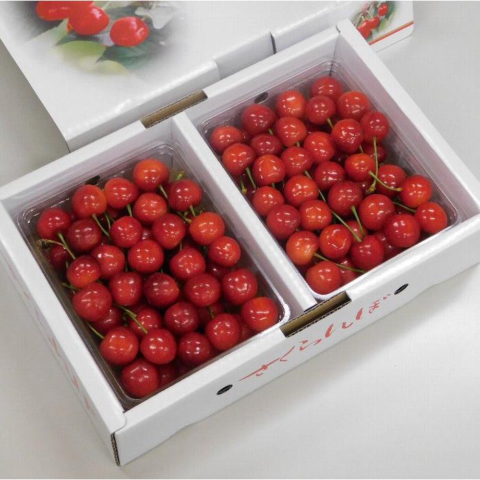 6月下旬出荷！】 さくらんぼ 紅秀峰 山形県産 L-2L 700g 秀-特秀 化粧