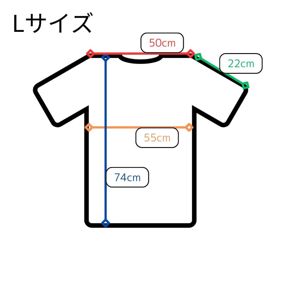 三十三観音 Tシャツ 白 Lサイズ XLサイズ 厚地 メール便 送料無料