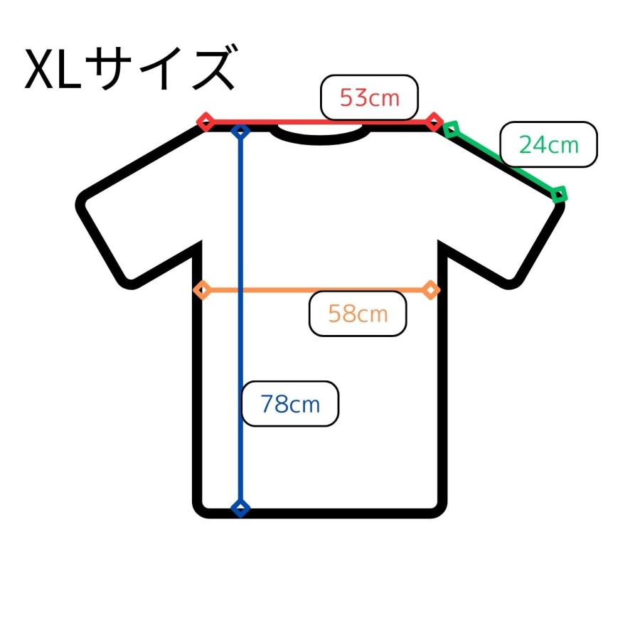 三十三観音 Tシャツ 白 Lサイズ XLサイズ 厚地 メール便 送料無料